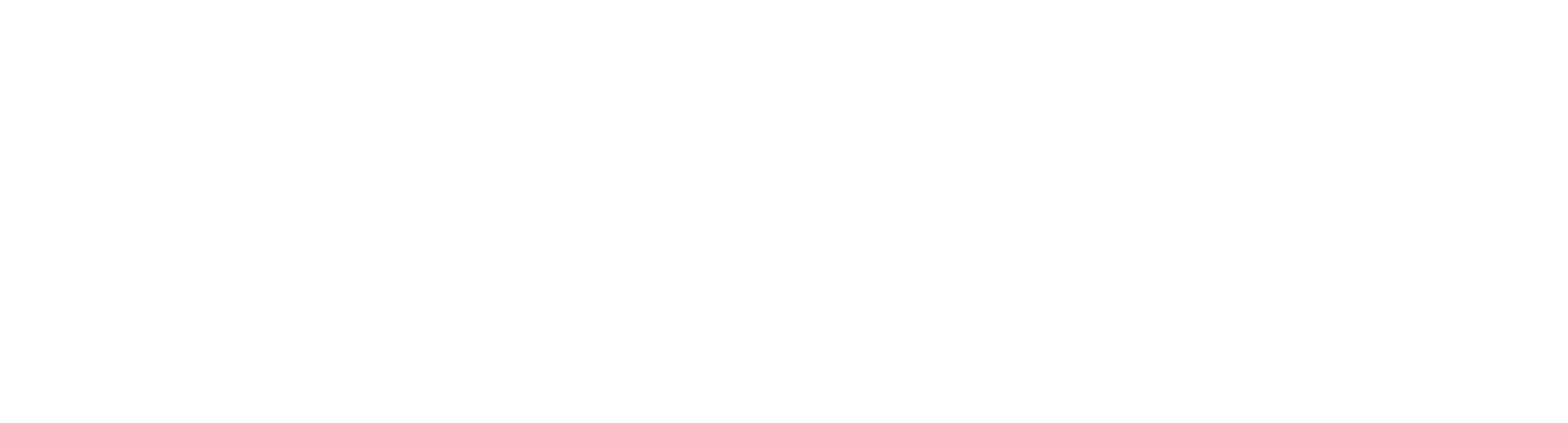 Cloud Armor IT Consultancy logo